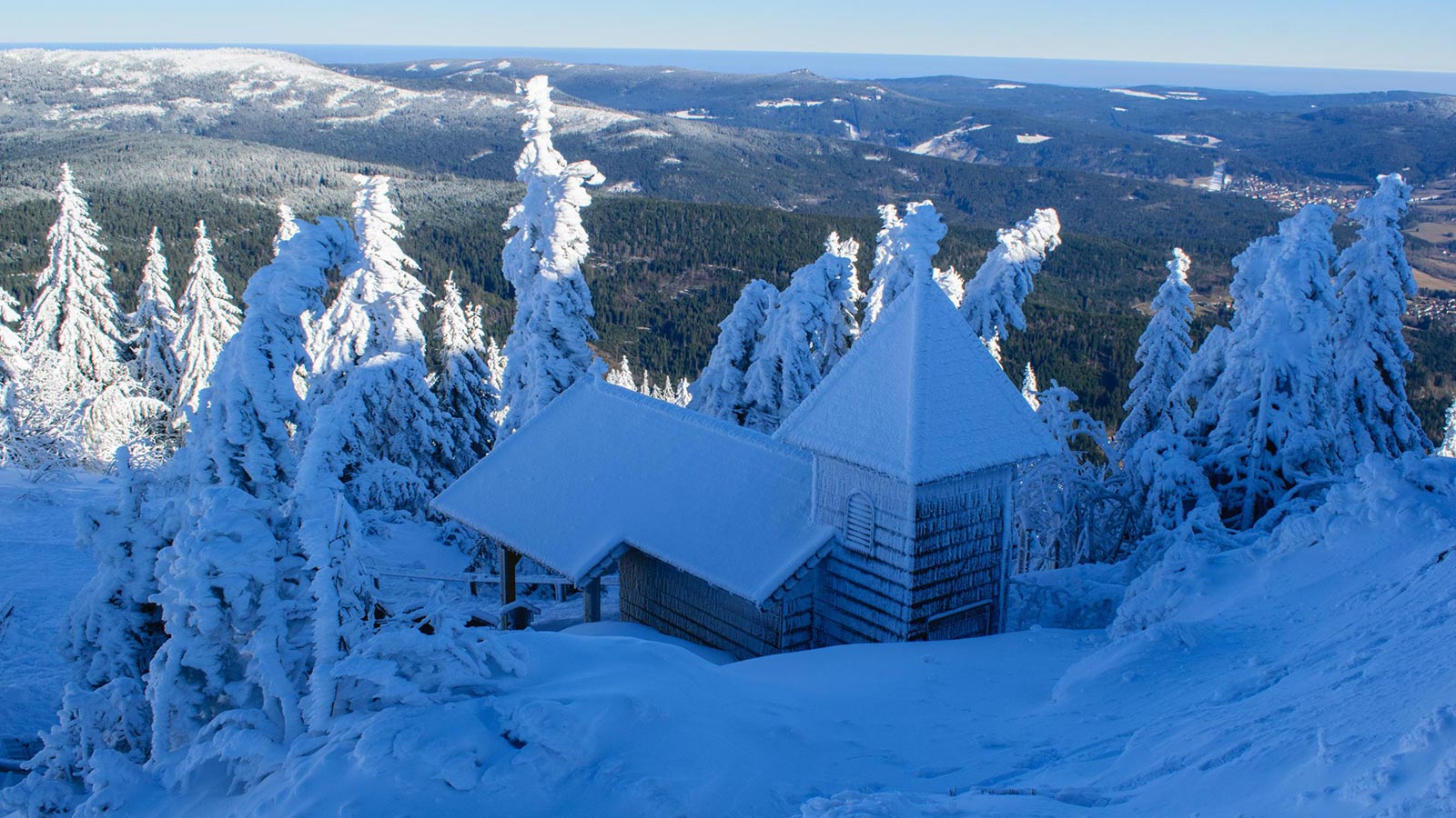 Sommerliche Naturlandschaft im Bayerischen Wald