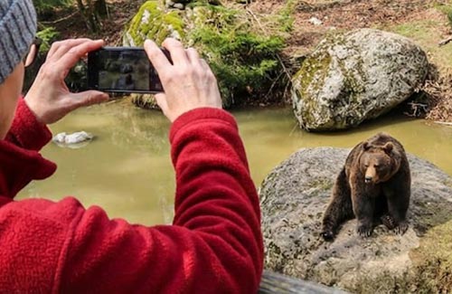 Abenteuer Nationalpark