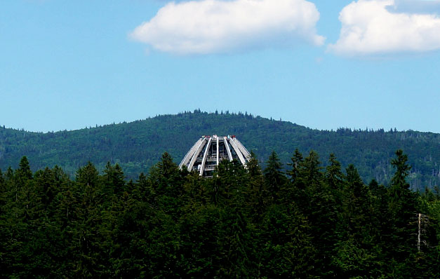 Baumwipfelpfad Neuschönau – Gratiseintritt in der Nationalpark-Pauschale