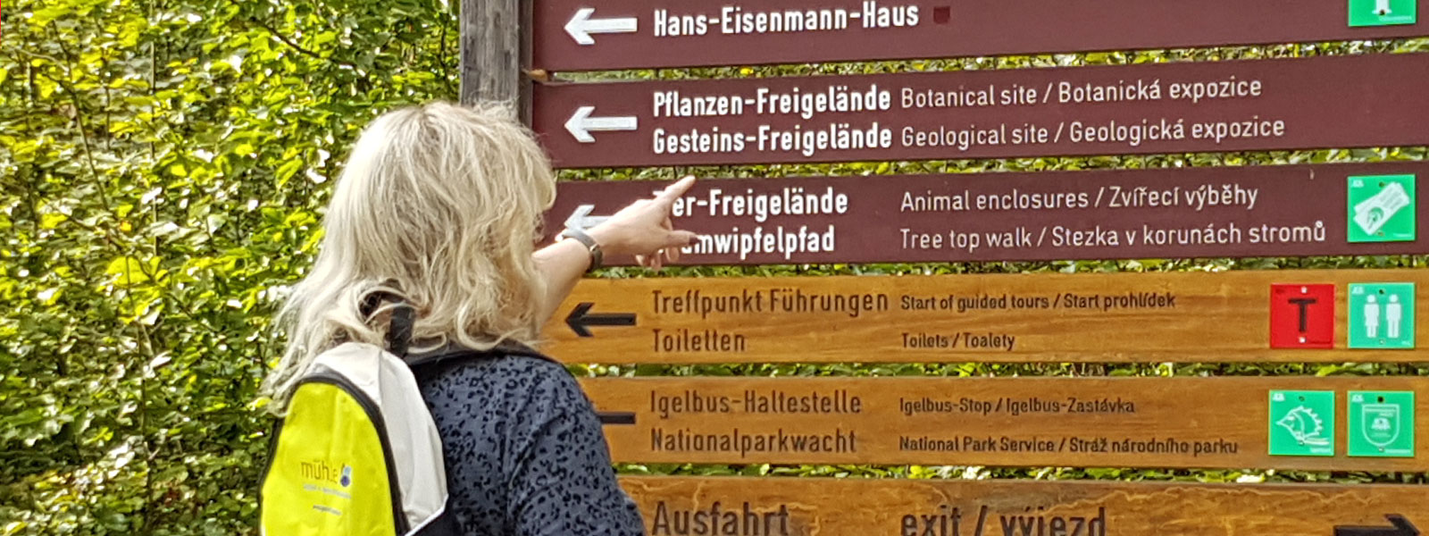 Nationalpark Bayerischer Wald – wilde Waldlandschaft am Lusen