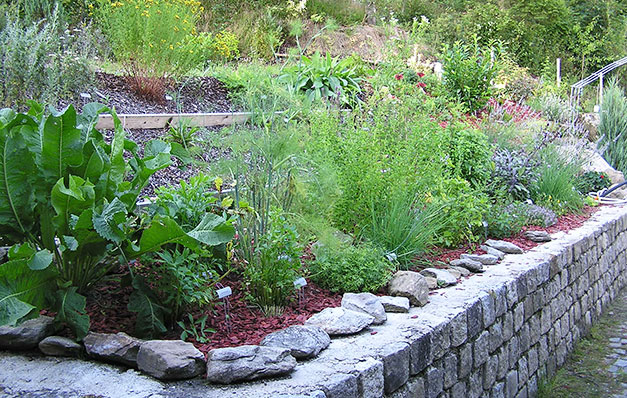 Regionale Küche im Wanderhotel Muehle – frisches Wildbret und heimische Produkte