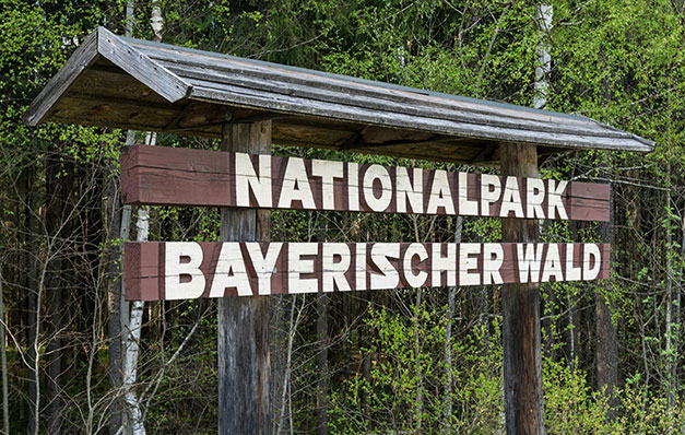 Abenteuer Nationalpark – Pauschale mit Baumwipfelpfad