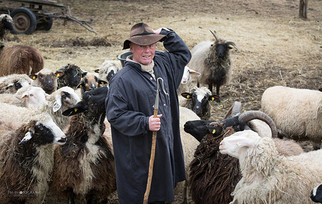 Schafhof Perl bei Rinchnach – Schafrassen bestaunen und Laemmer streicheln